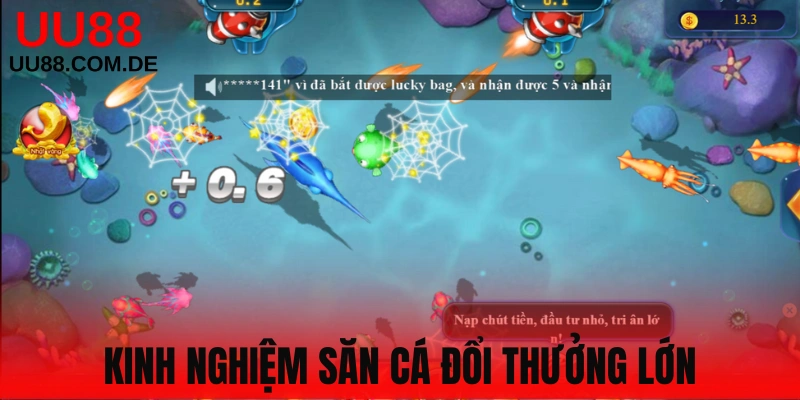 Kinh nghiệm chơi bắn cá hiệu quả tại sảnh